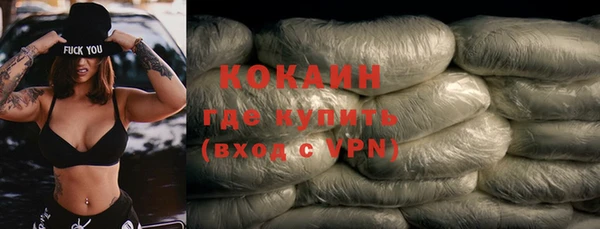 шишки Осташков