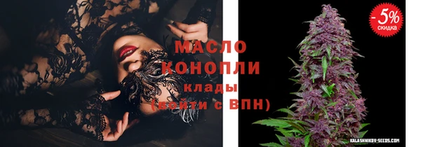индика Абинск